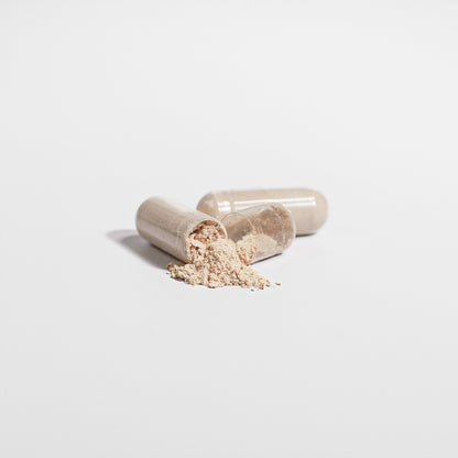 Cordyceps Mushroom Capsules - Attain Supplements